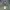 The North Face Gorpcore Windbreaker Pria green gray photo 6