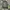 The North Face Gorpcore Windbreaker Pria green gray photo 2