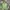 The North Face Gorpcore Windbreaker Pria green gray photo 1