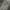 WHO.A.U Casual Hoody Pria gray photo 1