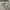 WHO.A.U Casual Hoody Pria gray photo 2