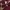 WHO.A.U Casual Hoody Pria burgundy photo 3