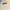 Feltics Vintage Streetwear Hoody Pria cream photo 2
