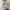 Partimento Biker Casual Harrington jacket Pria cream photo 2