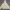 Partimento Biker Casual Harrington jacket Pria cream photo 1