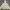 Partimento Biker Casual Harrington Jacket Pria Cream
