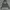 Abercrombie & Fitch Casual Hoody Kids White Gray