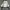 Abercrombie & Fitch Casual Hoody Kids white gray photo 2