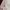 Levi's Luxury Casual T-shirt Pria multicolor photo 4