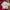 Levi's Luxury Casual T-shirt Pria multicolor photo 1