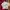 Levi's Luxury Casual T-shirt Pria Multicolor