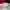 Levi's Luxury Casual T-shirt Pria multicolor photo 3