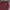 LAINE Casual Casual shirt Pria burgundy photo 3