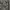TUMI Luxury Bag Pria black photo 2