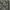 TUMI Luxury Bag Pria Black