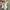 Adidas Streetwear Casual Sneakers Pria white photo 7