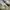 Adidas Streetwear Casual Sneakers Pria white photo 3