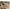 Pull & Bear Casual Sneakers Pria Tan