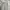 NEPA Gorpcore Tracksuit Pria tan photo 5