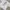 Y2K T-shirt Pria green gray photo 2