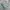 Y2K T-shirt Pria green gray photo 3