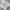 Y2K T-shirt Pria green gray photo 1