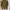 Casual Sweater Wanita green photo 2