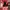 11/10 Studio Cosplay Casual Bra Wanita tan brown photo 1