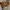Furla Luxury Handbag Wanita brown photo 4