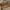 Furla Luxury Handbag Wanita brown photo 2