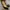 Salvatore Ferragamo Luxury Heels Wanita black photo 1