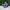 Adidas Casual Sneakers Pria blue photo 1