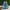 Adidas Casual Sneakers Pria blue photo 4