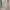 Coquette Casual Midi dress Wanita pink photo 4