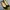Christian Louboutin Luxury Wedge Wanita black photo 2