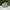 Adidas Casual Sneakers Pria white cream photo 4