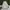 Adidas Casual Sneakers Pria white cream photo 3