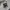 Streetwear Hoody Pria white gray photo 4