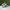 Onitsuka Tiger Casual Sneakers Pria white green photo 3