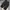 Vintage Y2K Jeans Pria black photo 4