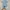 Hanes Casual Formal shirt Pria blue photo 1
