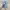 Hanes Casual Formal shirt Pria blue photo 2