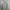 Fluke Skateboard Y2K Minimalist Sweater Pria Gray
