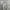 Uniqlo Vintage Minimalist Sweatshirt Pria gray photo 1