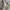 Ben Davis Casual Hoody Pria white photo 4