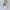 Ben Davis Casual Hoody Pria white photo 1