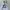 Ben Davis Casual Hoody Pria white photo 2