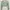 COLORBOX Coquette Crop top Wanita green photo 2