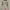COLORBOX Coquette Casual dress Wanita pink photo 1