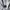 Obey Casual Hoody Pria gray photo 5
